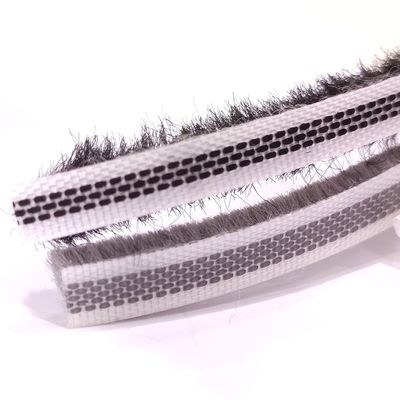 ISO9001 2008 সার্টিফাইড ব্রাশ স্ট্রিপ স্লাইডিং ডোর এবং উইন্ডো উল পিল আবহাওয়া স্ট্রিপ কাঠের উইন্ডো জন্য পিল উচ্চতা 3-25mm সঙ্গে