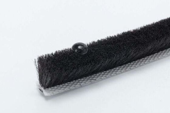 আধুনিক নকশা ধুলো-প্রতিরোধী দরজা সীল 100% পিপি পিল আবহাওয়া স্ট্রিপ এবং গরম গলিত আঠালো সঙ্গে